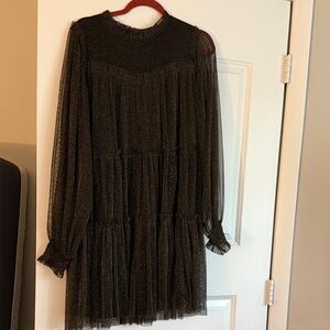 Elegant Black Sheer Long Sleeve Dress